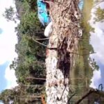 IMG-20250701-WA0031